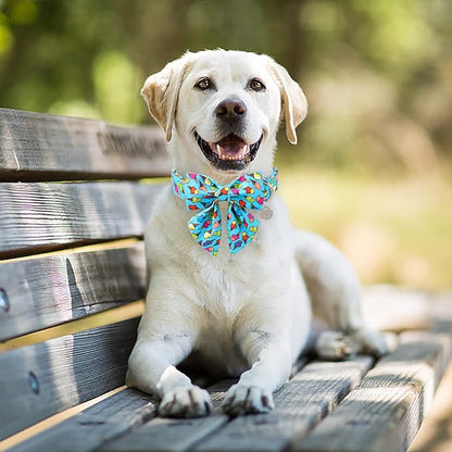 Summer Dog Collar with Bow Tie 8-12in