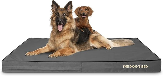 The Dog’s Bed Orthopedic Memory Foam Dog Bed 54x36, Pain