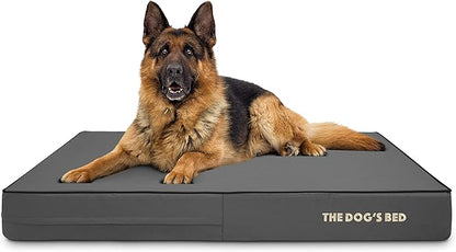 The Dog’s Bed Orthopedic Memory Foam Dog Bed 46x28, Pain