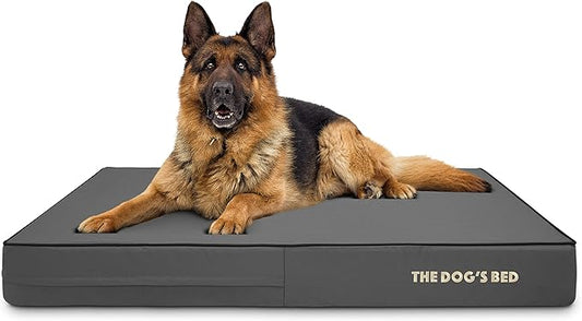 The Dog’s Bed Orthopedic Memory Foam Dog Bed 46x28, Pain