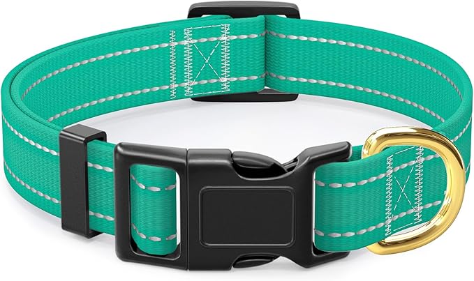 Reflective Dog Collar