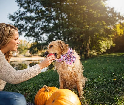 DOGWONG Fall Dog Collar with Bowtie