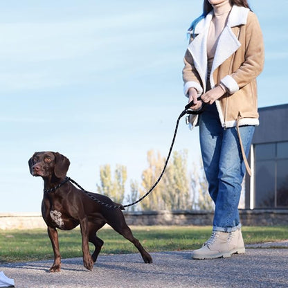 Slip Leads Dog Leash 4/5/6 FT (1/2''- 5FT,