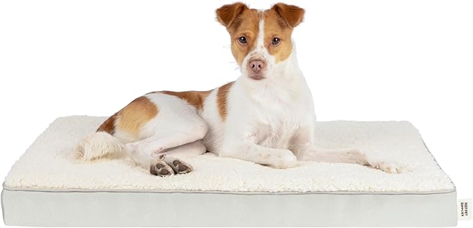 Best Pet Supplies Cute Dog Bed Mat Flat Mattress with Waterproof Exterior 41X29X4