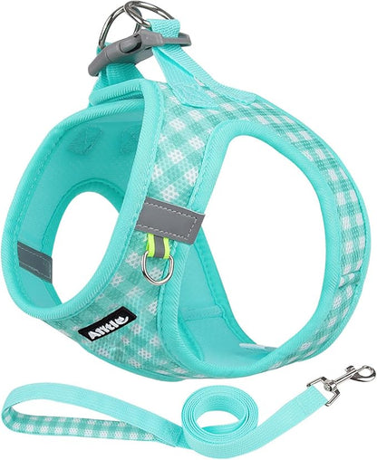 AIITLE No-Pull Pet Harness with a Leash, Plaid Comfort Padded Vest, Step in Dog Harness, Reflective Bands, Soft Breathable Pet Supplies, for Small and Medium Dogs and Cats Turquoise S