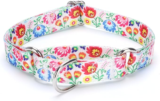 Martingale Dog Collars White2)
