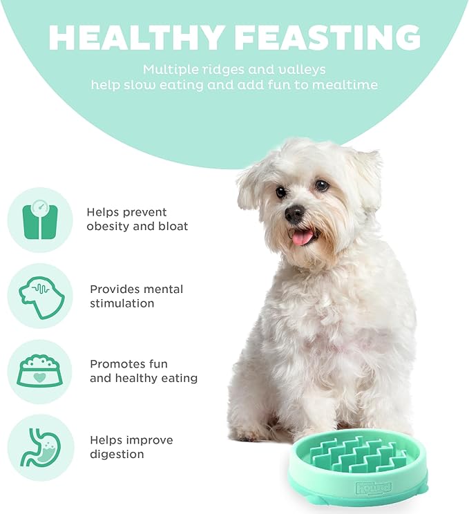 Outward Hound Fun Feeder Slo Bowl Slow Pet Feeder Bowl for Dogs in Mint Plastic