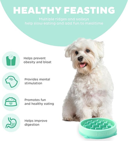 Outward Hound Fun Feeder Slo Bowl Slow Pet Feeder Bowl for Dogs in Mint Plastic