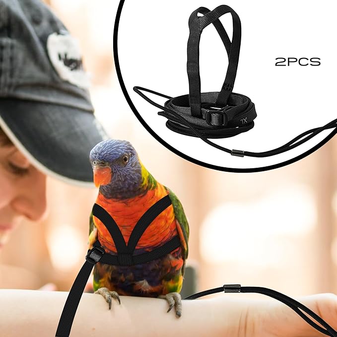 2 pcs Pet Parrot Bird Harness and Leash, Adjustable Training Design Anti-Bite, Outdoor Flying Training Rope Kit for Bird Parrots Fits Birds Chest Between24-51cm /9.45-20inch - M (Black