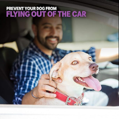 Poodle Pet Easy Click Car Seat Belt for Dogs