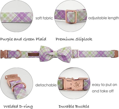 Elegant little tail Dog Collar with Bow