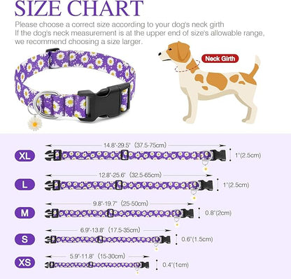 BiPawTi Purple Dog Collars