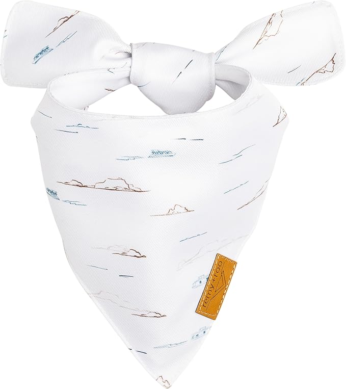 Remy+Roo Small Summer Dog Bandanas 4 Pack