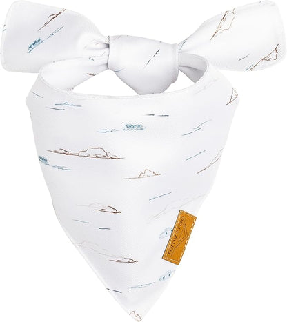 Remy+Roo Small Summer Dog Bandanas 4 Pack