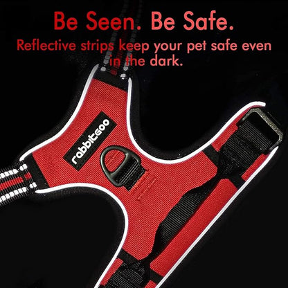 rabbitgoo Dog Harness 2 Leash