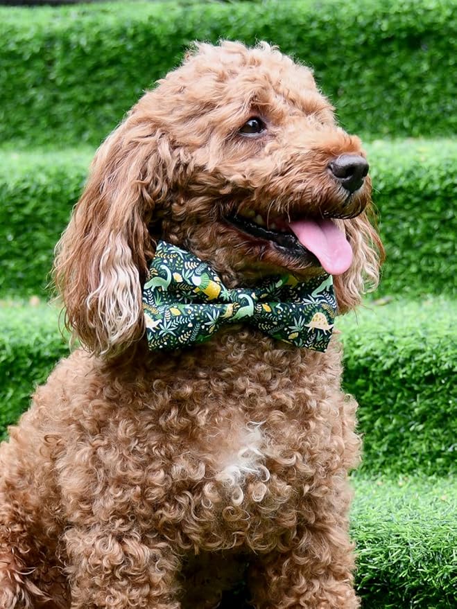 Jungle Dinosaur Dog Bow Tie Dog Collar Accessory