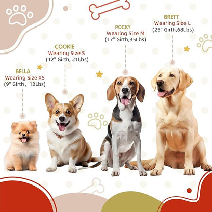 Tri-Color Dog Harness