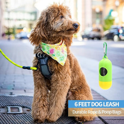 BAAPET 2/4/5/6 FT Dog Leash with Comfortable Padded Handle and Highly Reflective Threads for Small Medium and Large Dogs (6FT-1/2''