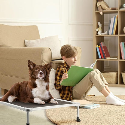 Veehoo Cooling Outdoor Elevated Dog Bed