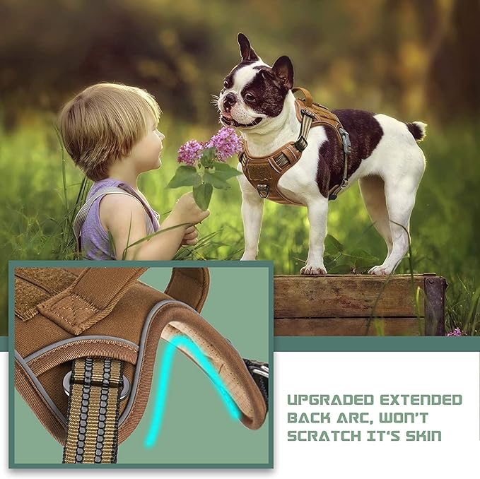 BUMBIN Dog Harness