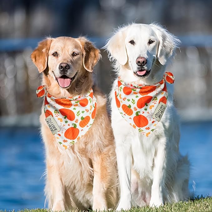 SCENEREAL Thanksgiving Dog Bandana
