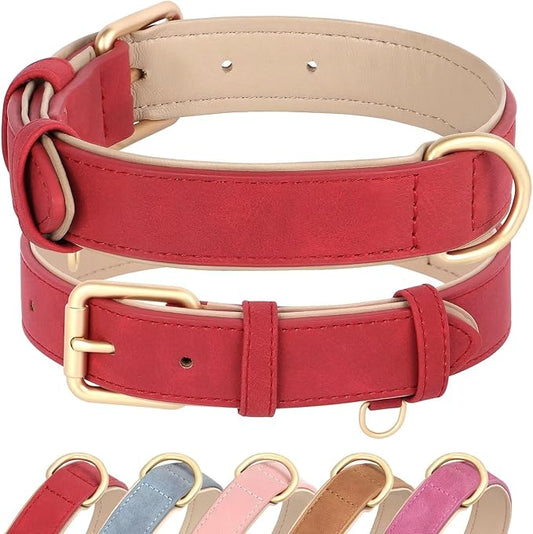 Didog Soft Padded Leather Dog Collar