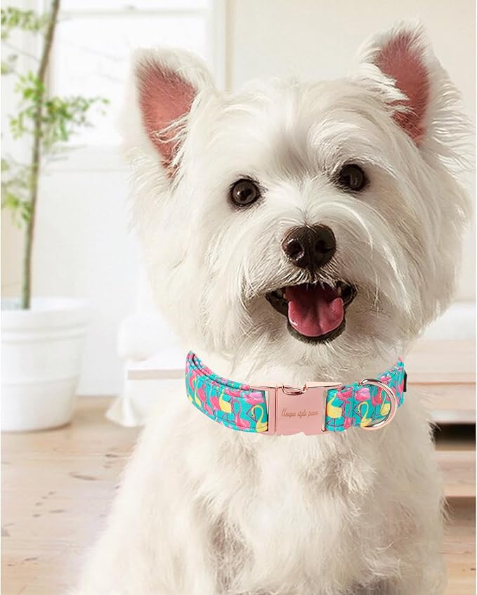 Cute Flamingo Summer Dog Collar