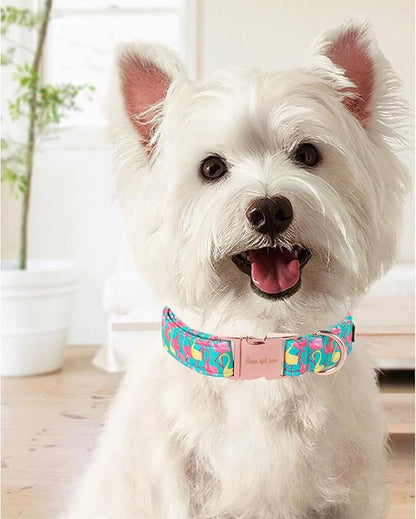 Cute Flamingo Summer Dog Collar