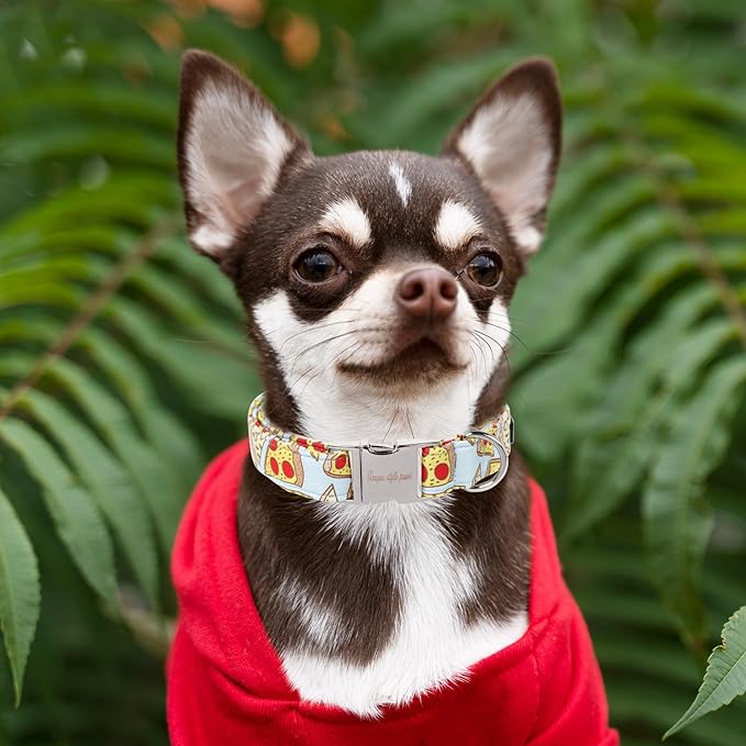 Unique style paws Dog Collar Metal Buckle Collar