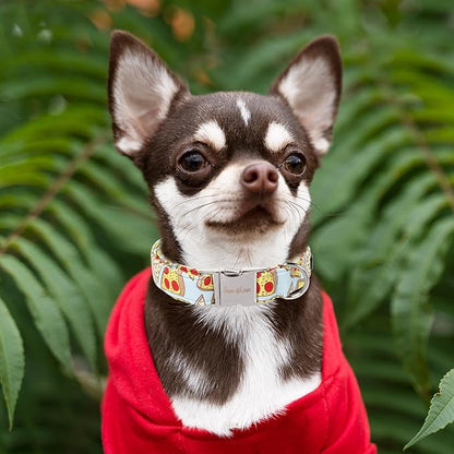 Unique style paws Dog Collar Metal Buckle Collar