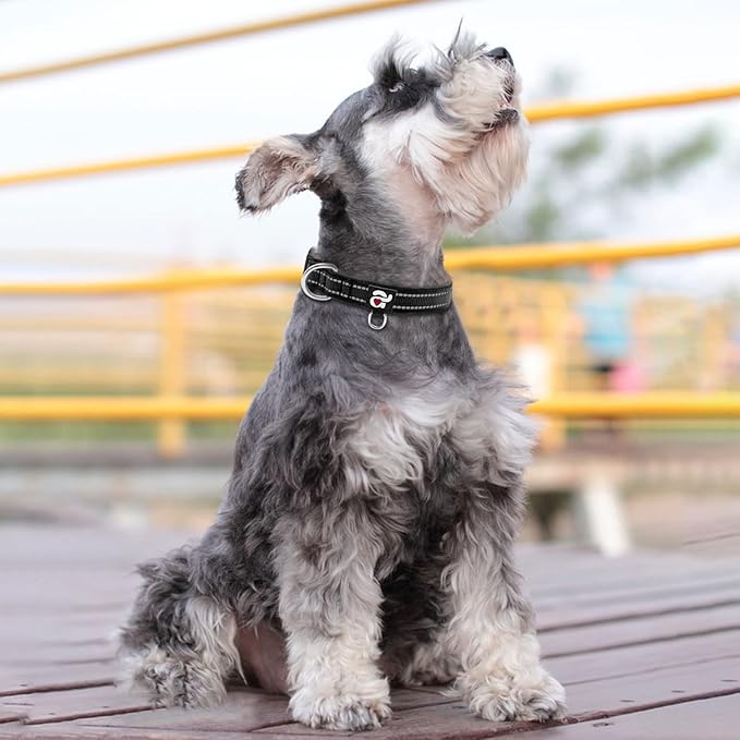 azuza Reflective Dog Collar