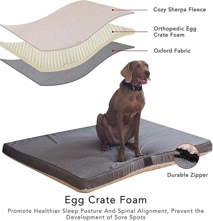 DaysU Large Dog Bed for Large Dogs 65 Ibs, 36x27x3in