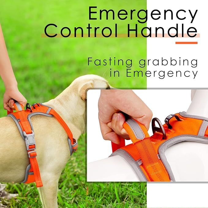 ThinkPet No Pull Harness Breathable Sport Harness with Handle-Dog Harnesses Reflective Adjustable for Medium Large Dogs,Back/Front Clip for Easy Control S Neon Orange