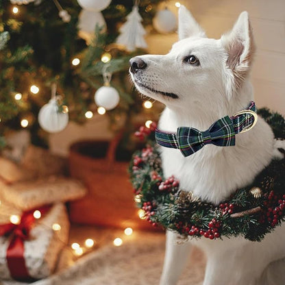 Christmas Day Dog Collar with Bow Red Green