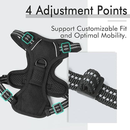 rabbitgoo Dog Harness 2 Leash
