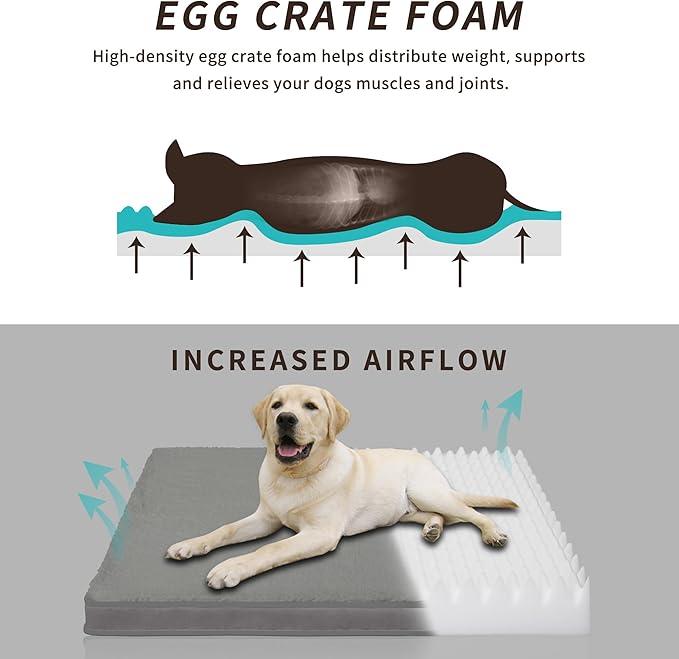 Easy-Going Dog Bed for Medium Dogs (30x20x3 in,