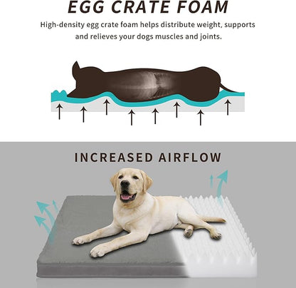 Easy-Going Dog Bed for Medium Dogs (30x20x3 in,