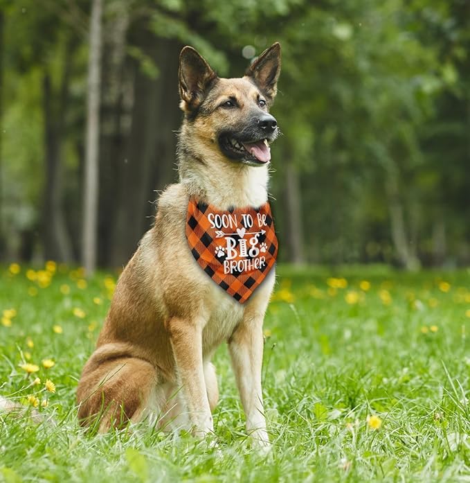 Dog Bandana (C26)