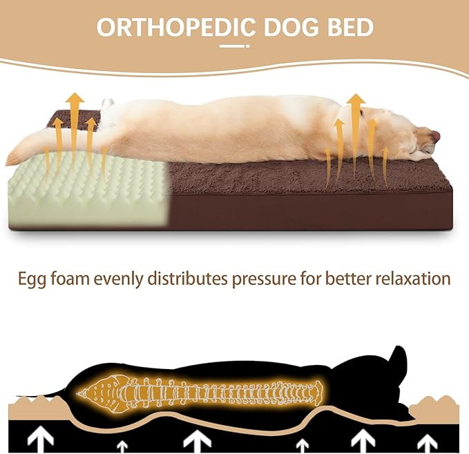 MIHIKK Extra Large Dog Bed with Removable Washable Cover 48 inch