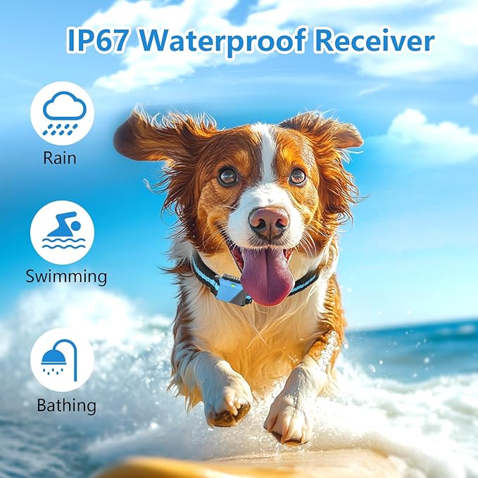 Dog Shock Collar with Remote Control 2 Dogs, 3 Training