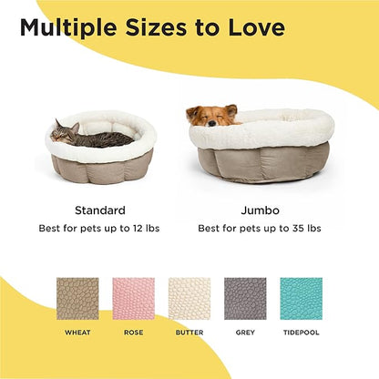 Best Friends by Sheri Cuddle Cup Ilan Cozy