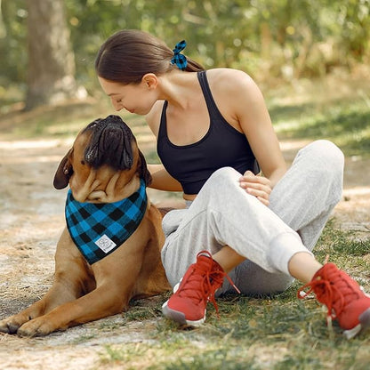 E-Clover Dog Bandanas & Matching Scrunchie Boy Dog