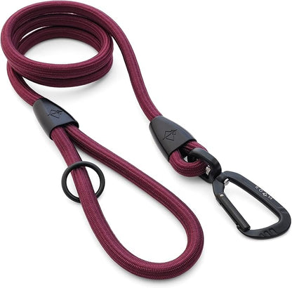 MADE TO ROAM Premium Everyday Leash 6ft (Metal