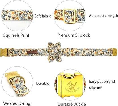 Elegant little tail Fall Dog Collar