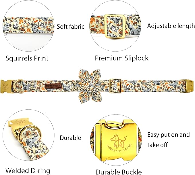 Elegant little tail Fall Dog Collar