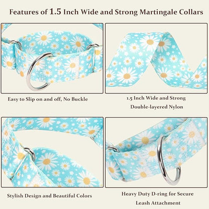 Martingale Collar 1.5 Inches Wide Dog Collar