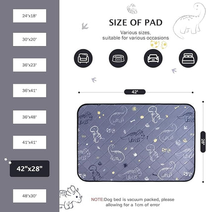 IEUUMLER Washable Pee Pads for Dogs 2 Pack EU007 (Gray 42"X28"-2pcs)