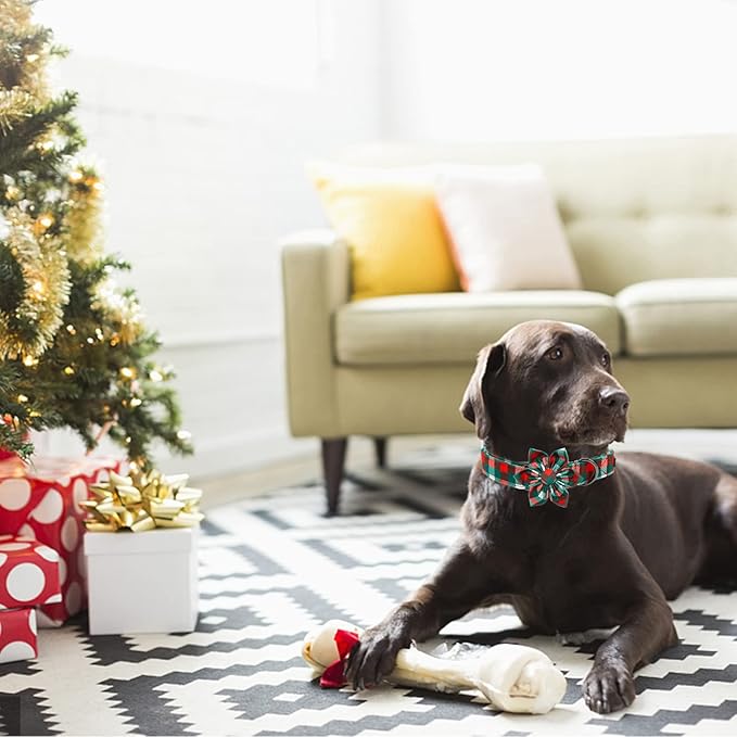 Elegant little tail Dog Collar with Flower