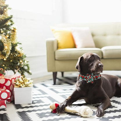Elegant little tail Dog Collar with Flower