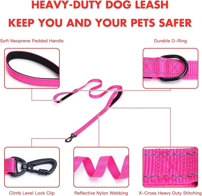 Martingale Dog Collar with Stainless Steel Chain and Leash Set 5FT Double